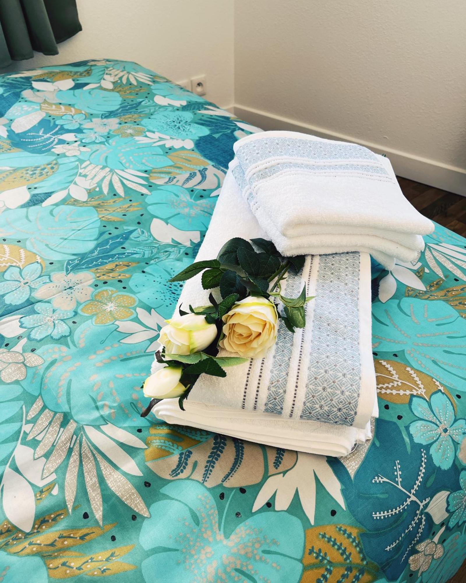 Appartement Chez Rose Narbonne Luaran gambar