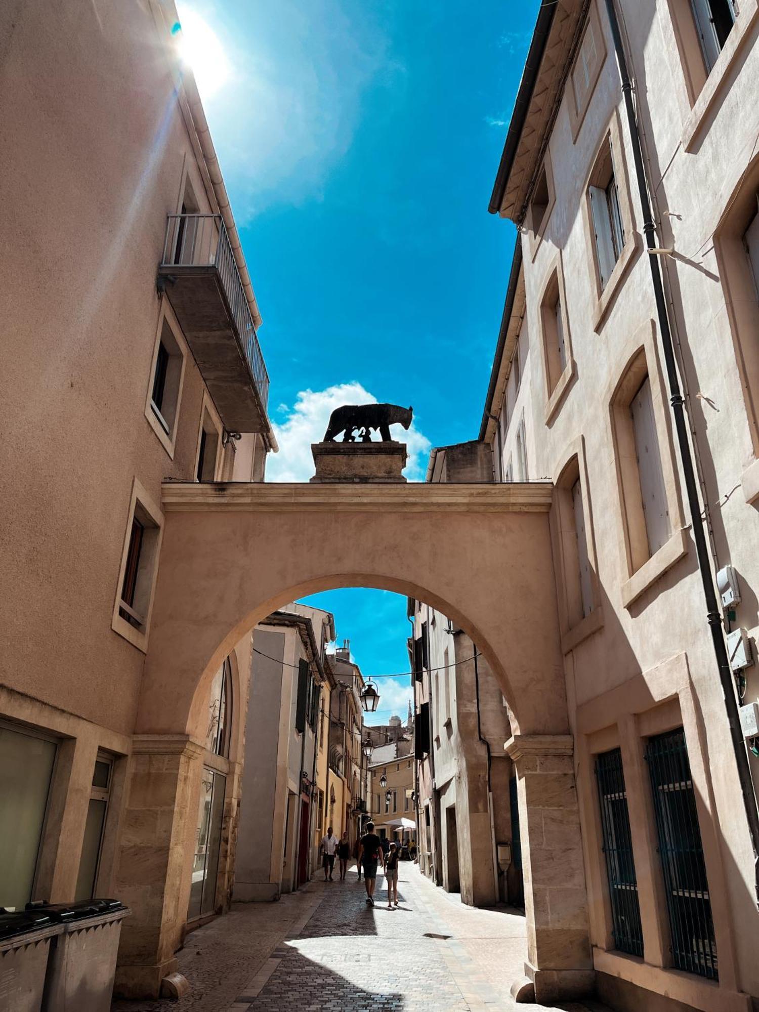 Appartement Chez Rose Narbonne Luaran gambar